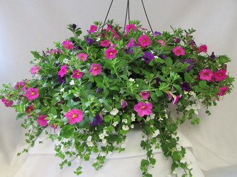 Premium Blooming Hanging Basket from Chillicothe Floral, local florist in Chillicothe, OH