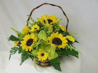 Summer Sunshine Basket from Chillicothe Floral, local florist in Chillicothe, OH